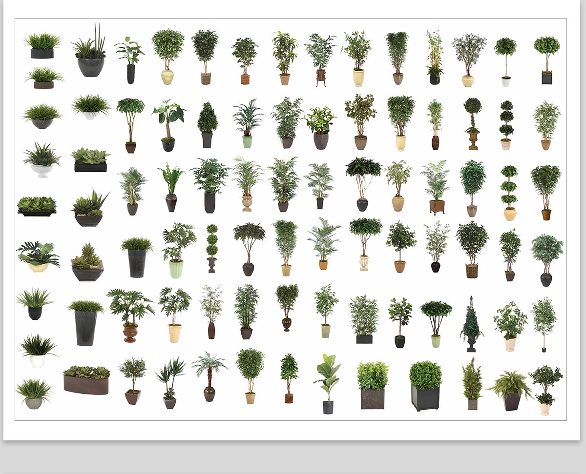 图片[29]-室内盆栽绿植花盆植物组合ps素材 现代简约客厅摆件免抠psd免抠图-大怪兽分享