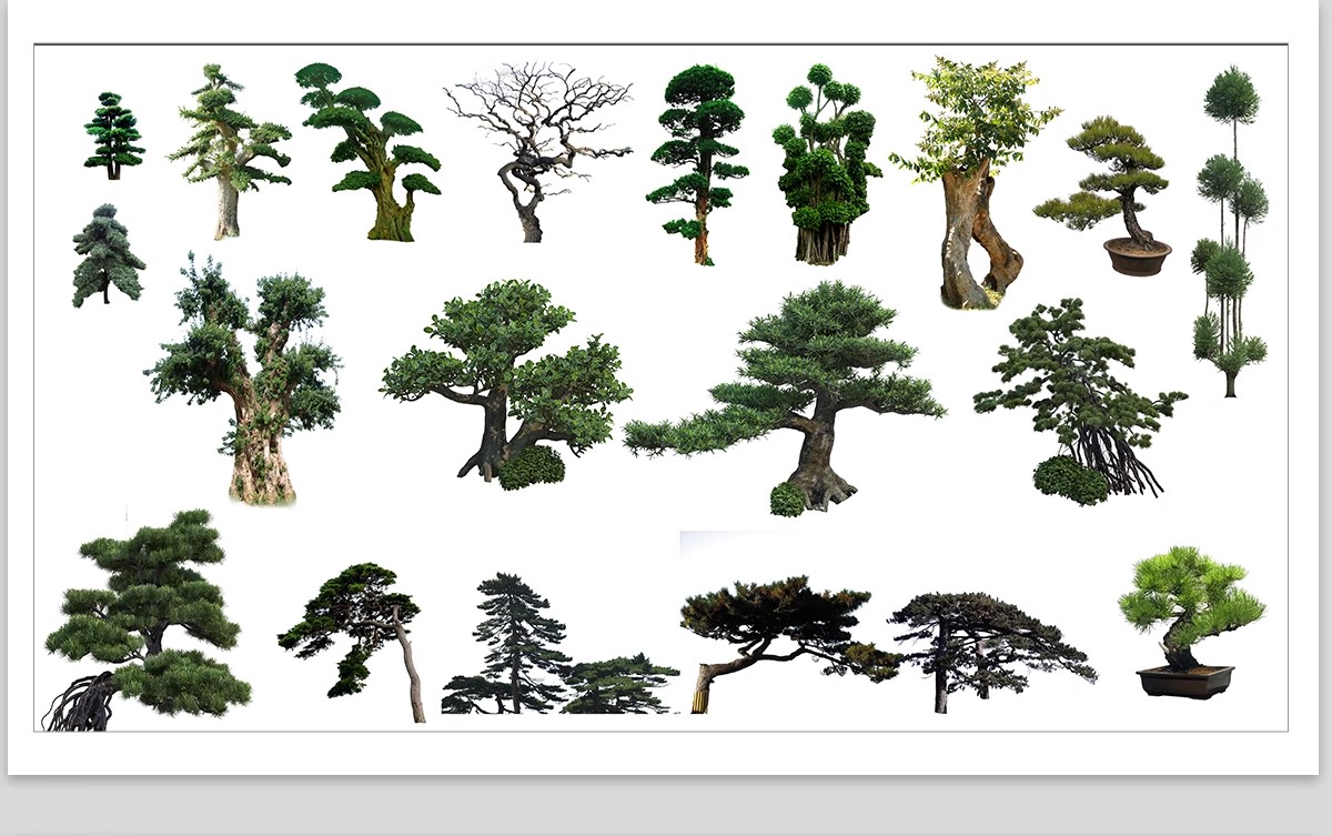 图片[30]-PS景观造型植物灌木球造型树迎客罗汉松桩景效果图png棒棒糖素材-大怪兽分享