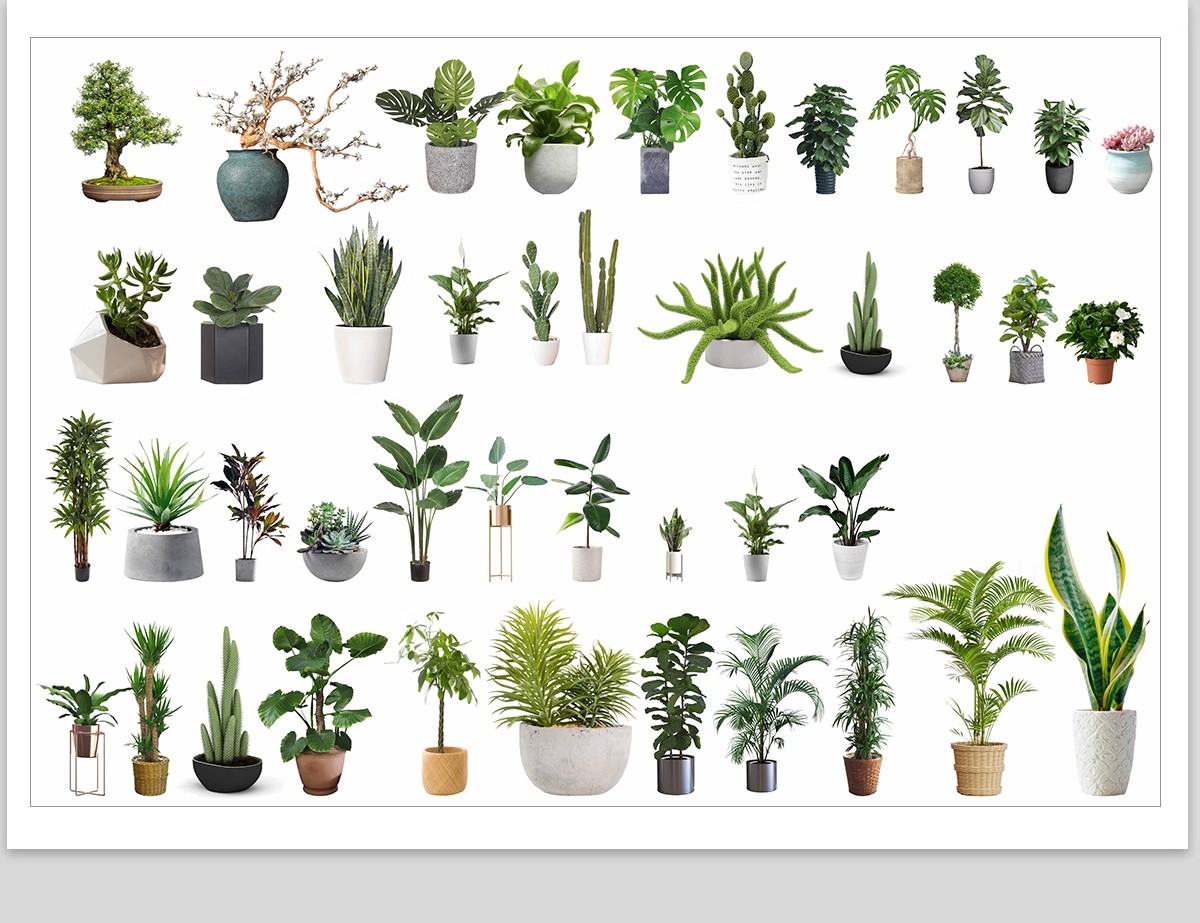 图片[30]-室内盆栽绿植花盆植物组合ps素材 现代简约客厅摆件免抠psd免抠图-大怪兽分享