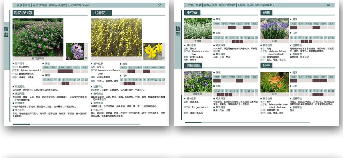 图片[31]-园林景观施工工艺做法图集参考道路广场铺装水景排水硬质植物种植-大怪兽分享