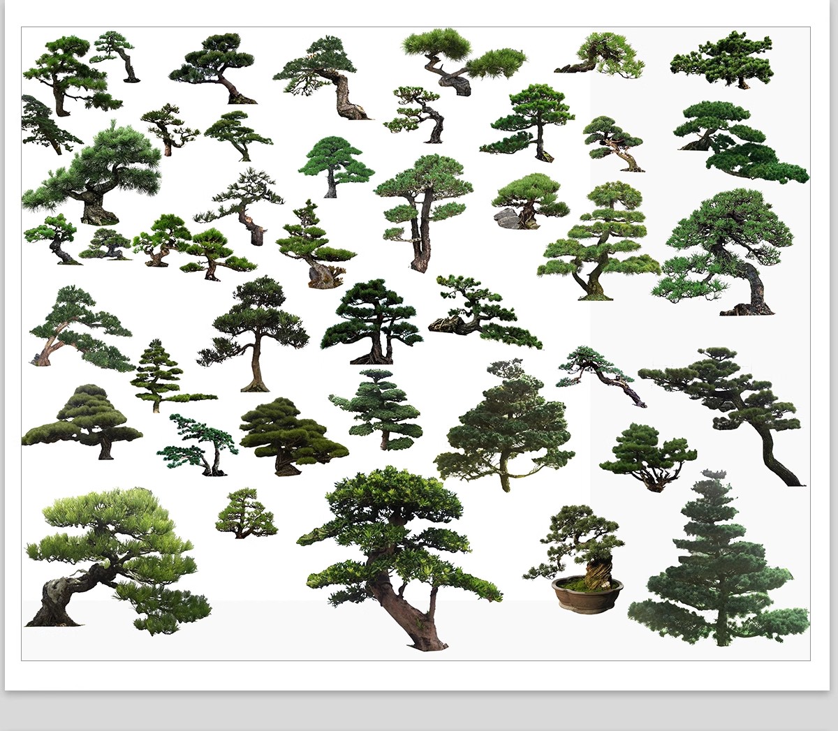 图片[31]-PS景观造型植物灌木球造型树迎客罗汉松桩景效果图png棒棒糖素材-大怪兽分享
