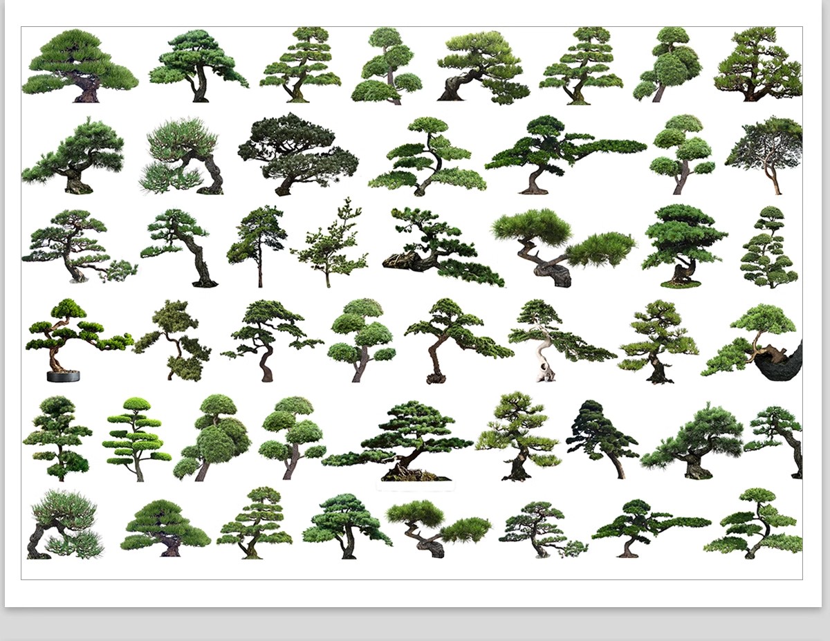 图片[32]-PS景观造型植物灌木球造型树迎客罗汉松桩景效果图png棒棒糖素材-大怪兽分享