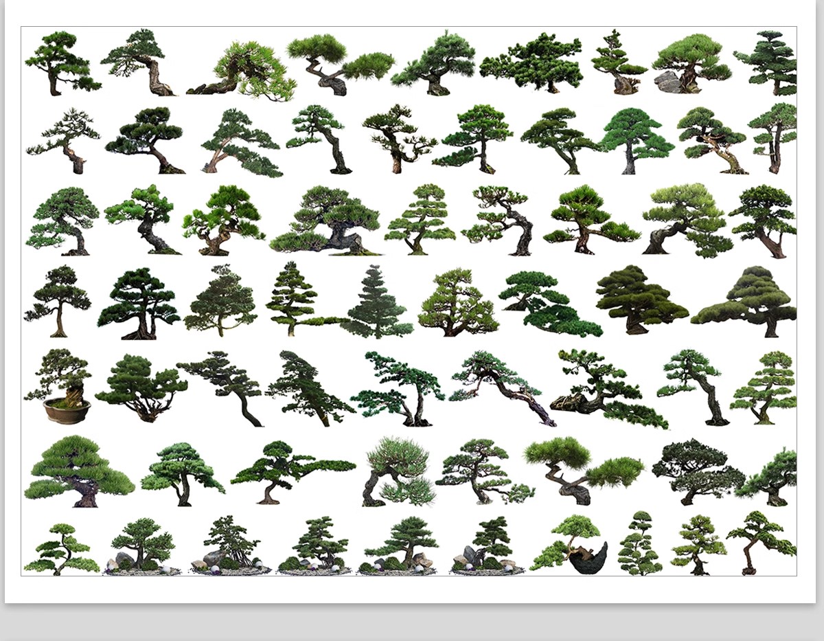 图片[33]-PS景观造型植物灌木球造型树迎客罗汉松桩景效果图png棒棒糖素材-大怪兽分享
