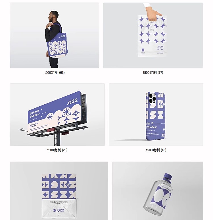 图片[19]-创意文创样机作品品牌提案VI效果图展示整套智能贴图模板PSD素材-大怪兽分享