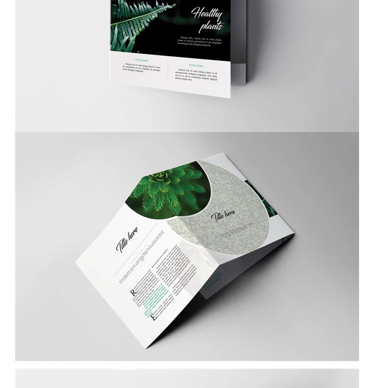 图片[23]-ID三折页公司企业宣传册画册广告DM面试作品模板Indesign设计素材-大怪兽分享
