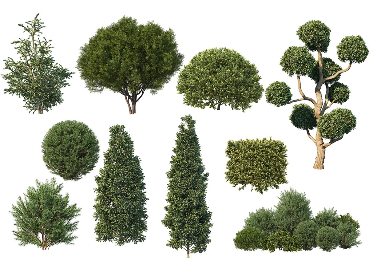 图片[37]-PS景观造型植物灌木球造型树迎客罗汉松桩景效果图png棒棒糖素材-大怪兽分享