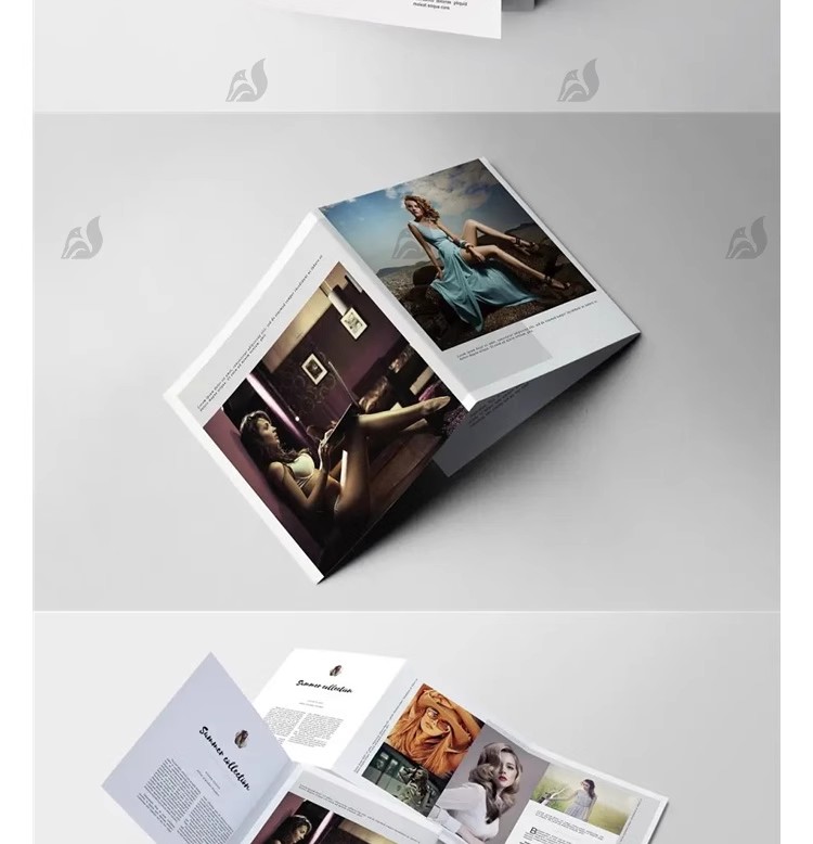 图片[25]-ID三折页公司企业宣传册画册广告DM面试作品模板Indesign设计素材-大怪兽分享