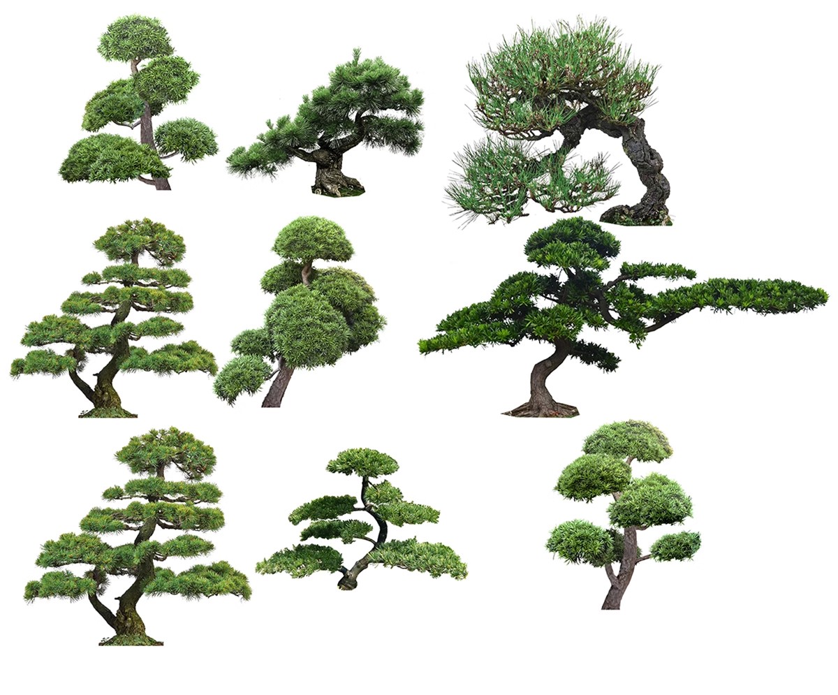 图片[42]-PS景观造型植物灌木球造型树迎客罗汉松桩景效果图png棒棒糖素材-大怪兽分享