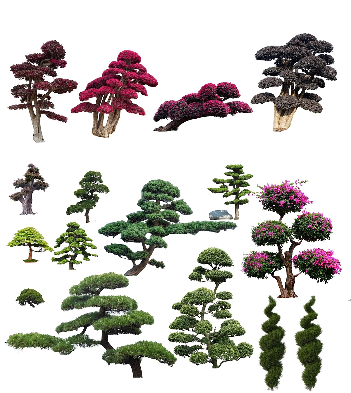 图片[47]-PS景观造型植物灌木球造型树迎客罗汉松桩景效果图png棒棒糖素材-大怪兽分享