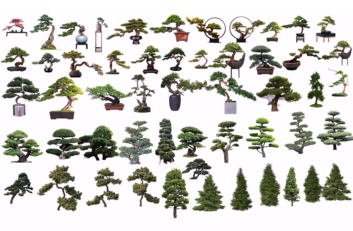 图片[48]-PS景观造型植物灌木球造型树迎客罗汉松桩景效果图png棒棒糖素材-大怪兽分享