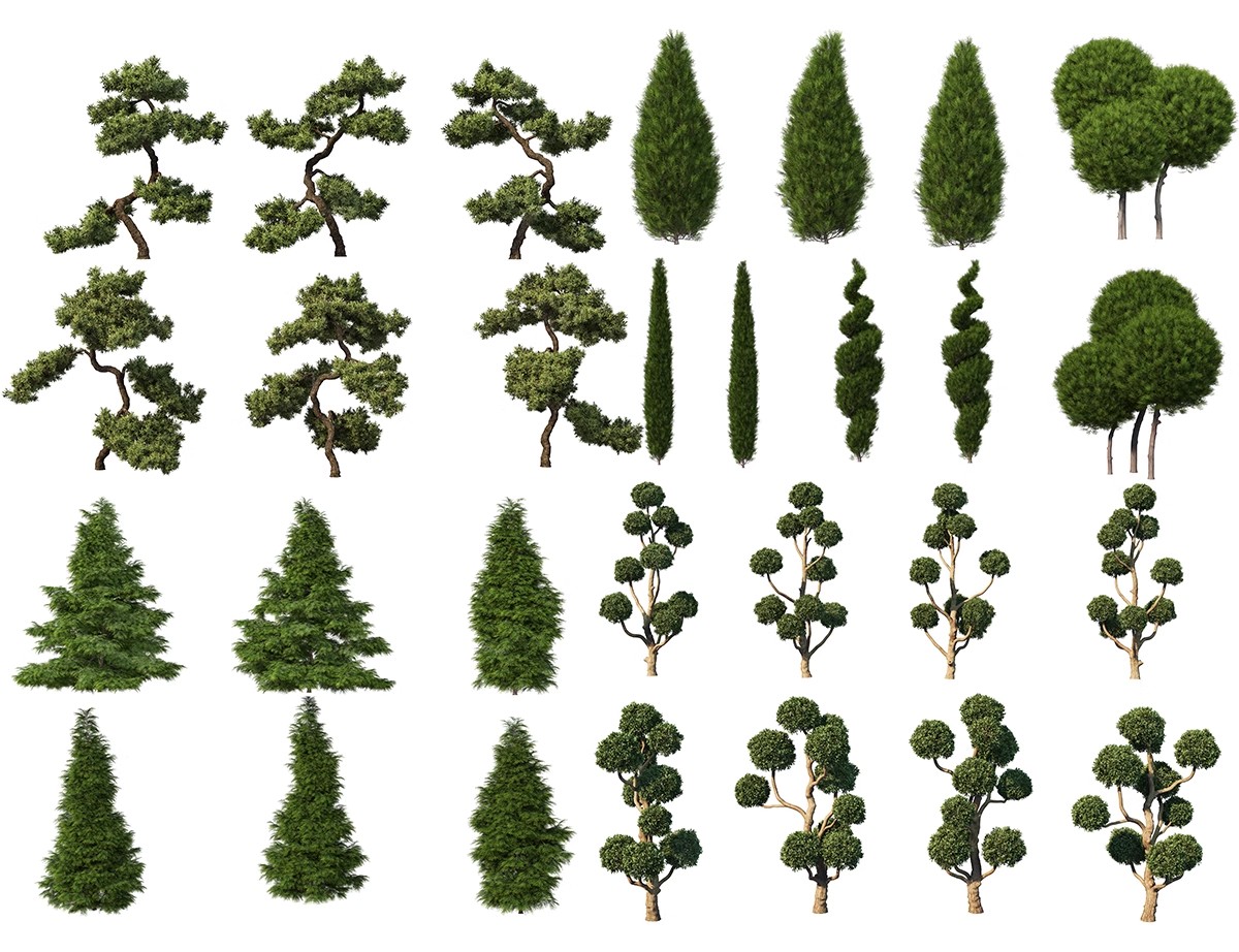 图片[49]-PS景观造型植物灌木球造型树迎客罗汉松桩景效果图png棒棒糖素材-大怪兽分享