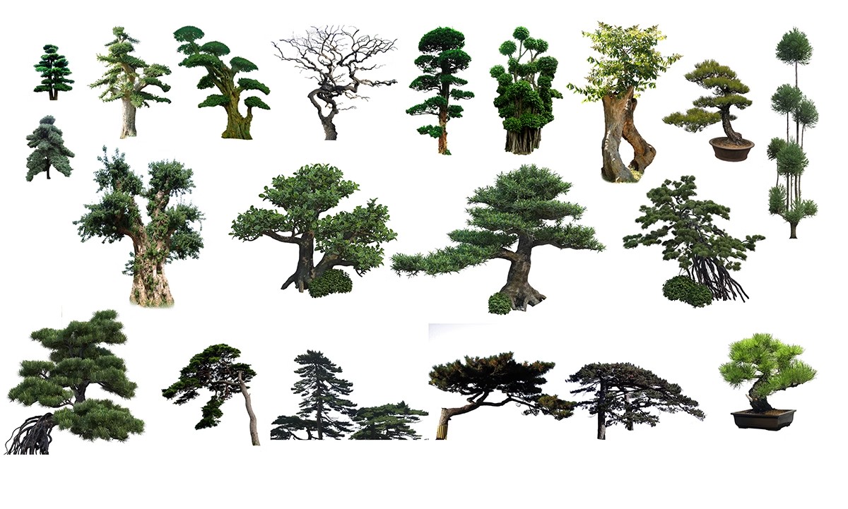图片[51]-PS景观造型植物灌木球造型树迎客罗汉松桩景效果图png棒棒糖素材-大怪兽分享