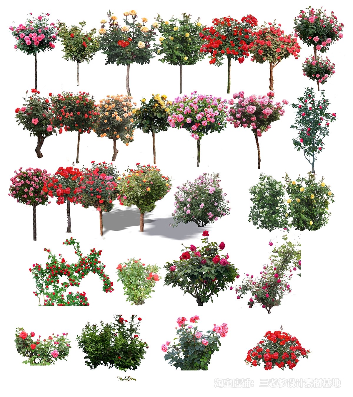 图片[51]-藤蔓爬藤植物爬墙攀援垂钓围墙月季花PS素材蔷薇廊架藤本免抠PSD-大怪兽分享