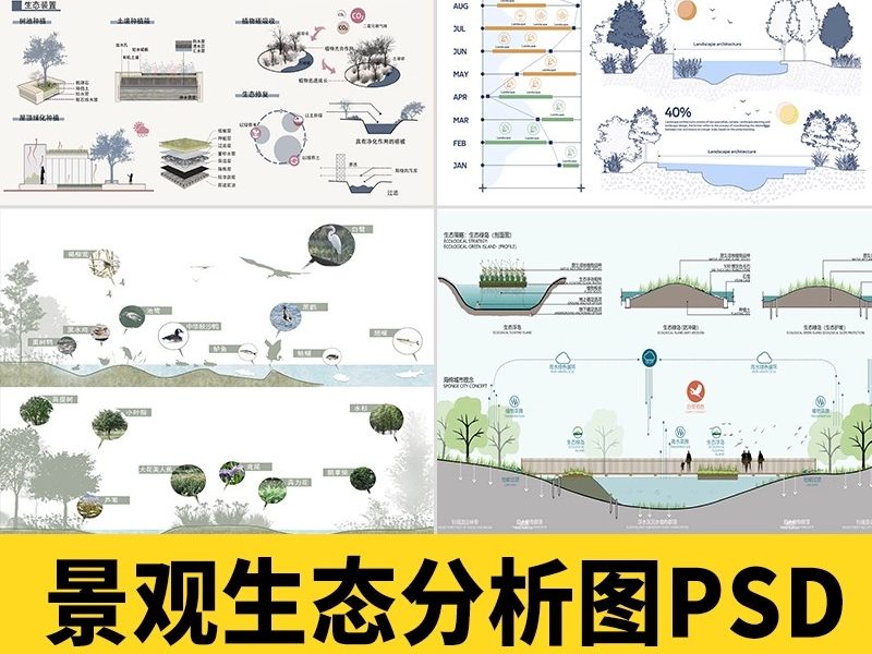 生态景观ps分析图模块植物修复 滨水驳岸种植湿地PSD分层免抠素材-大怪兽分享