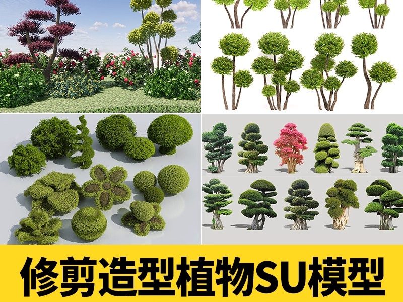 棒棒糖多头造型植物树木组合修剪女贞灌木球形绿篱庭院su模型素材-大怪兽分享