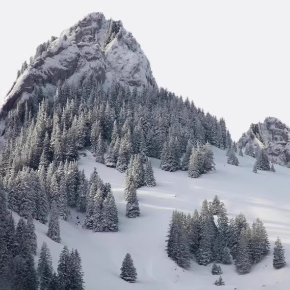 图片[3]-283P风景自然4K高清手机壁纸雪山旷野山脉iPhone安卓手机壁纸平板-大怪兽分享