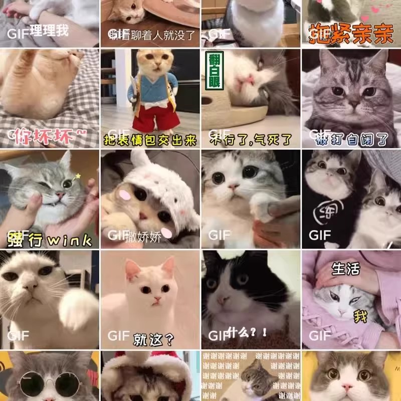 图片[3]-50000+超甜聊天表情包gif动态图片撒娇撩汉撩妹人物微信斗图库-大怪兽分享