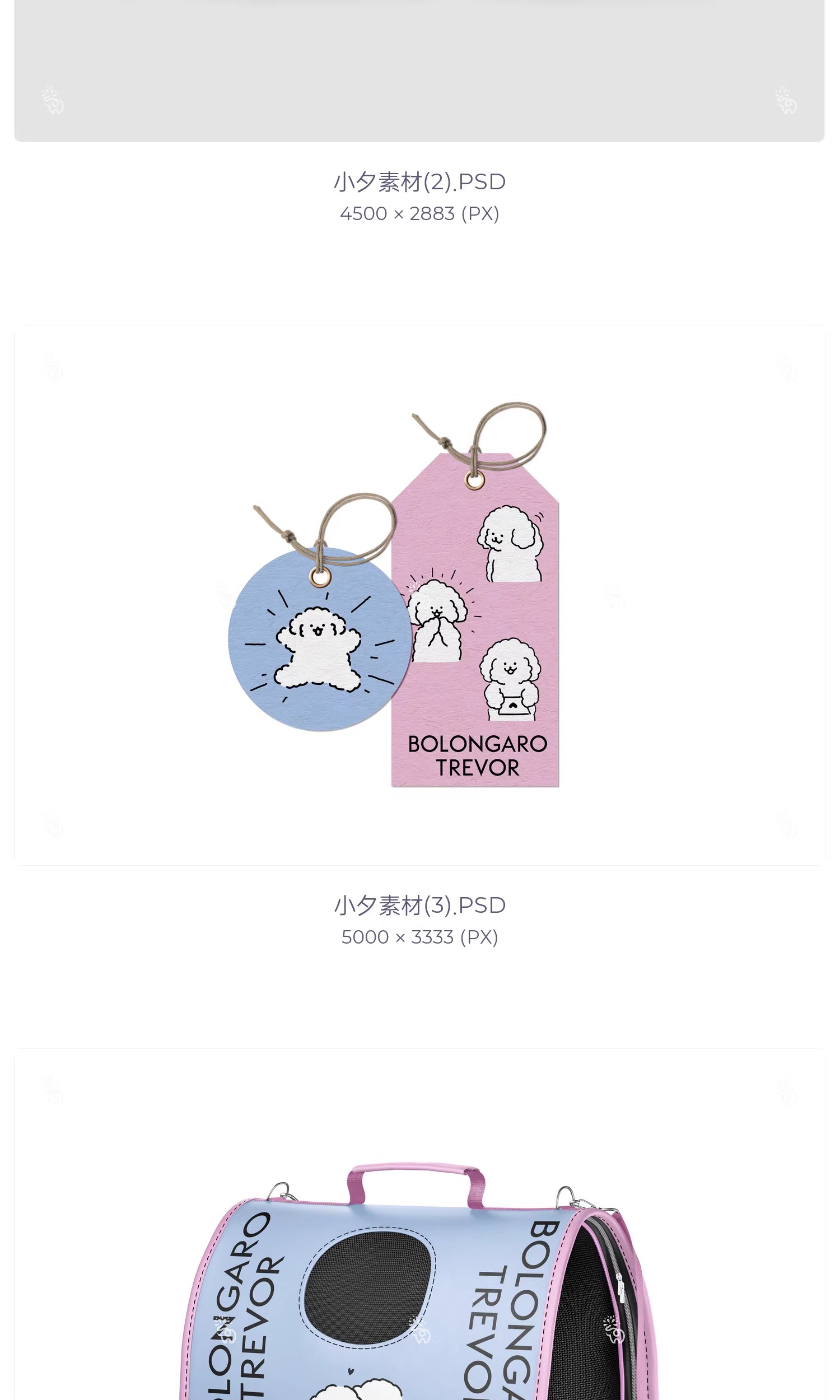 图片[4]-品牌宠物用品店猫粮狗粮vi提案包装设计智能贴图文创样机PSD素材-大怪兽分享