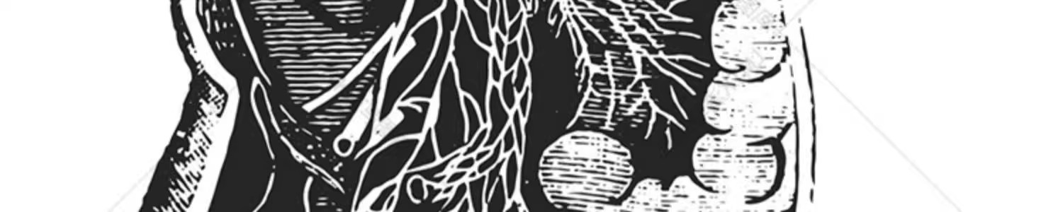 图片[6]-素描手绘人体各部位肌肉器官骨骼组织机构线稿插图AI矢量设计素材-大怪兽分享