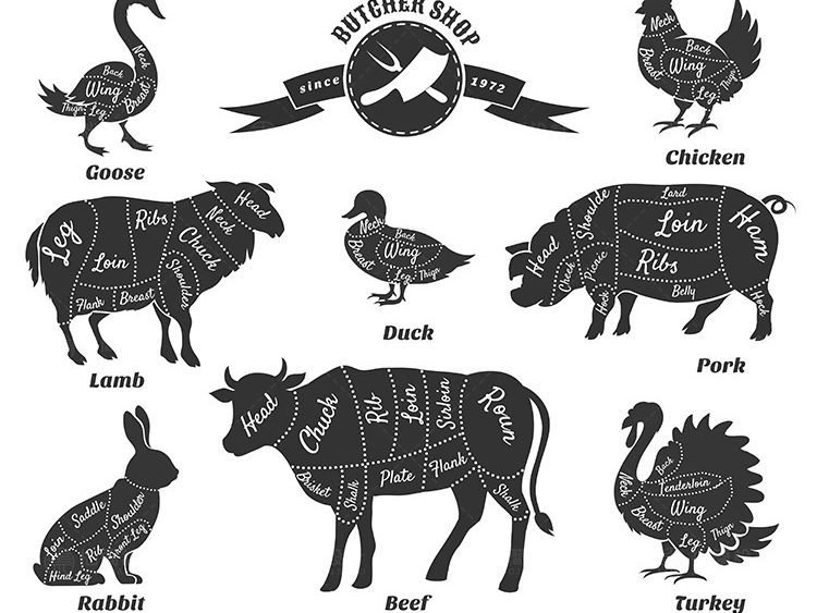 图片[9]-猪肉牛肉羊肉鸡鸭肉分割部位分解图分布图解剖图eps矢量设计素材-大怪兽分享