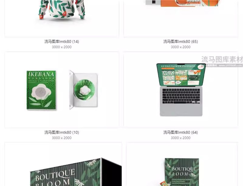 图片[8]-企业公司毕设文创VI包装盒手提袋海报样机贴图PSD设计素材模板-大怪兽分享