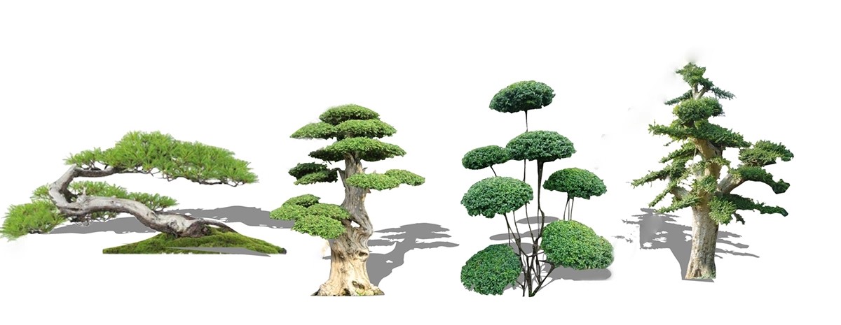 图片[10]-棒棒糖多头造型植物树木组合修剪女贞灌木球形绿篱庭院su模型素材-大怪兽分享