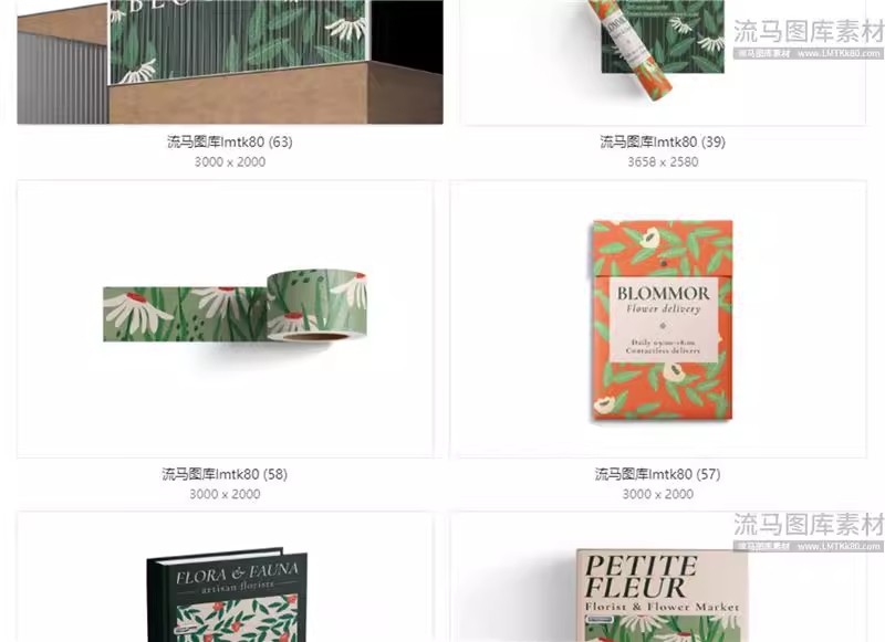 图片[9]-企业公司毕设文创VI包装盒手提袋海报样机贴图PSD设计素材模板-大怪兽分享