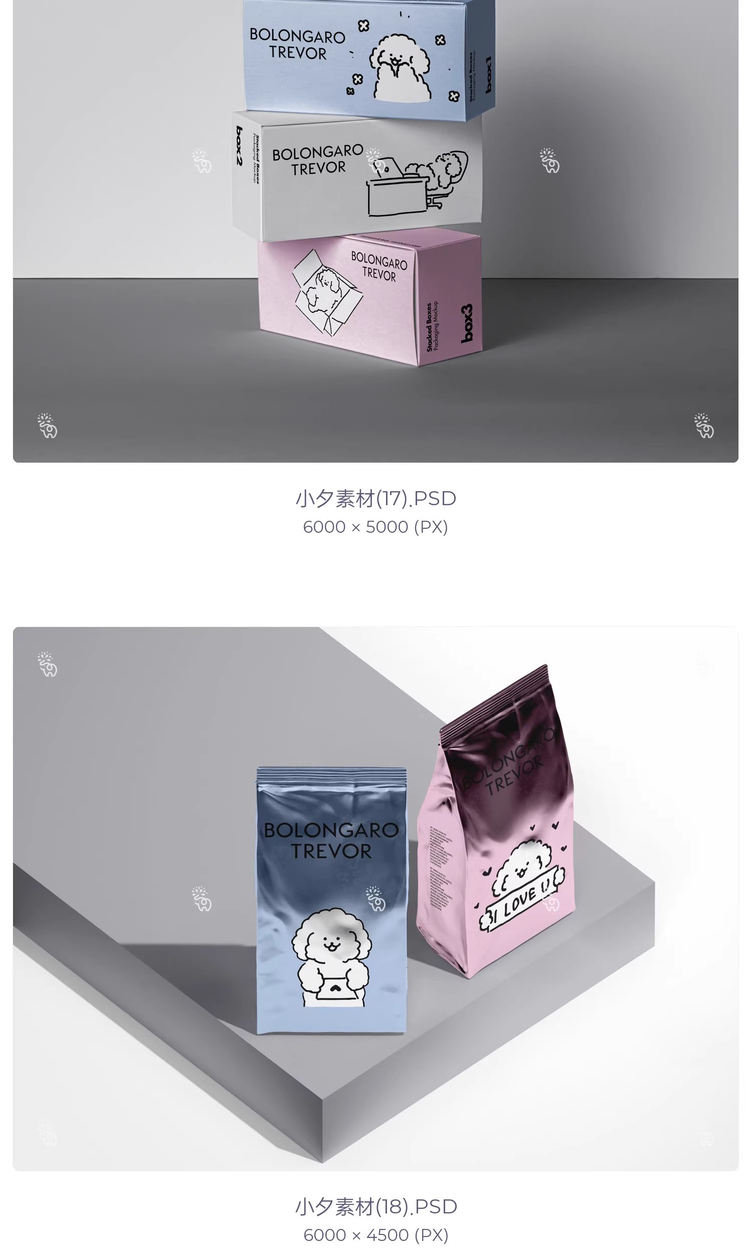 图片[11]-品牌宠物用品店猫粮狗粮vi提案包装设计智能贴图文创样机PSD素材-大怪兽分享