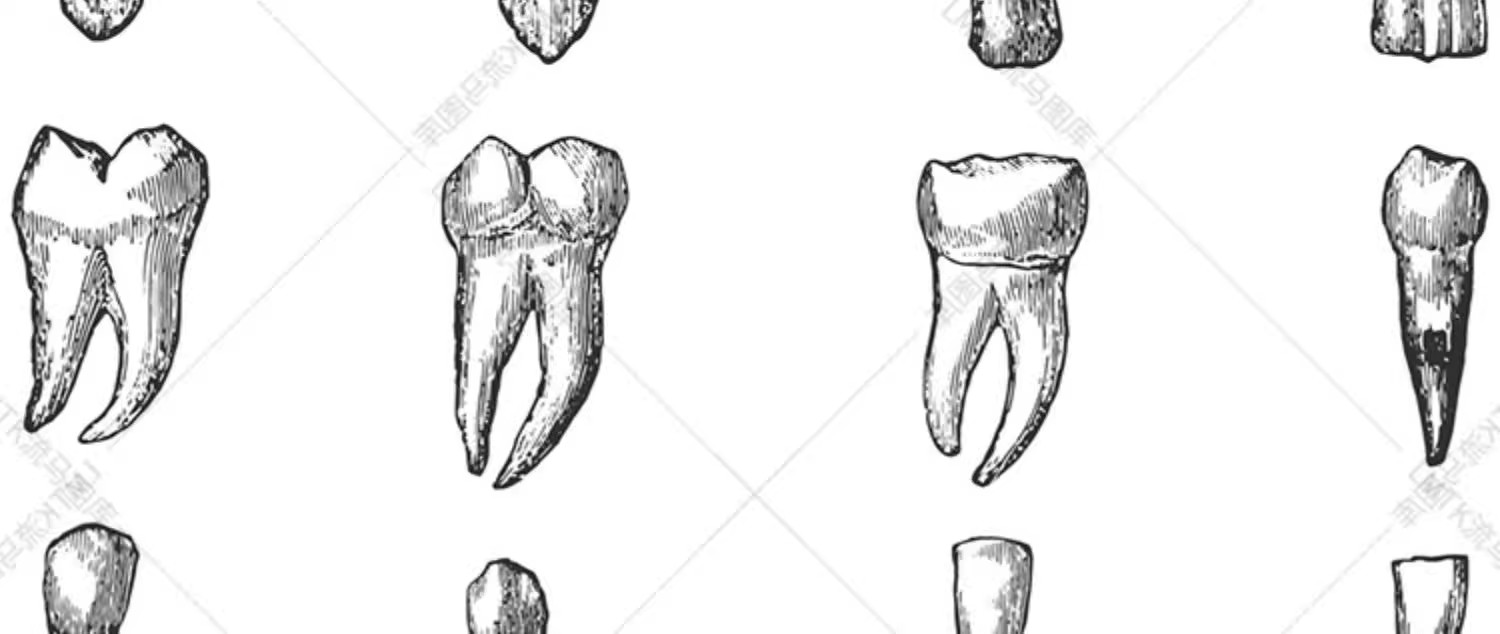 图片[10]-素描手绘人体各部位肌肉器官骨骼组织机构线稿插图AI矢量设计素材-大怪兽分享
