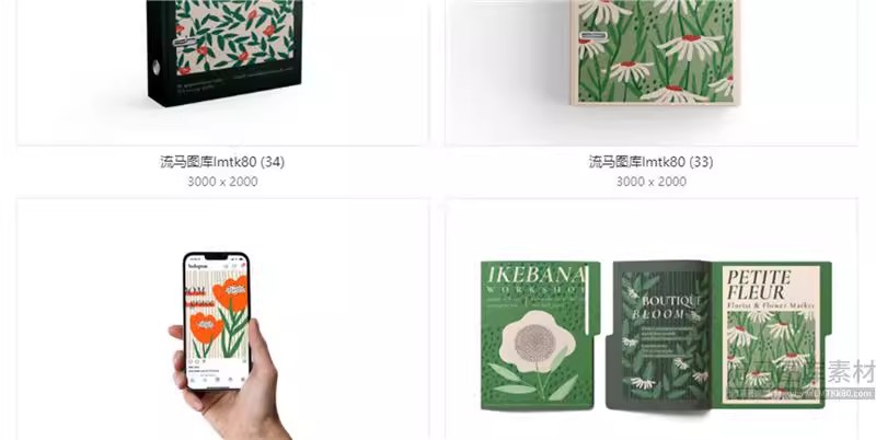 图片[10]-企业公司毕设文创VI包装盒手提袋海报样机贴图PSD设计素材模板-大怪兽分享
