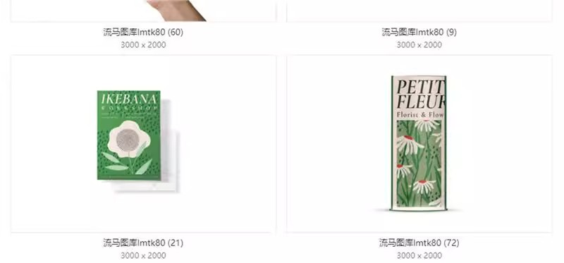 图片[11]-企业公司毕设文创VI包装盒手提袋海报样机贴图PSD设计素材模板-大怪兽分享
