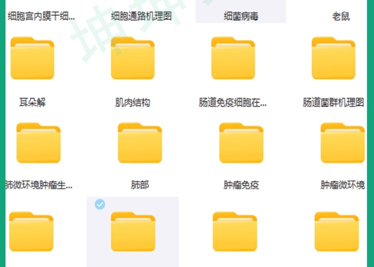 图片[9]-【科研绘图】ppt素材ai模板生物医学可编辑插图细胞流程图通路图-大怪兽分享