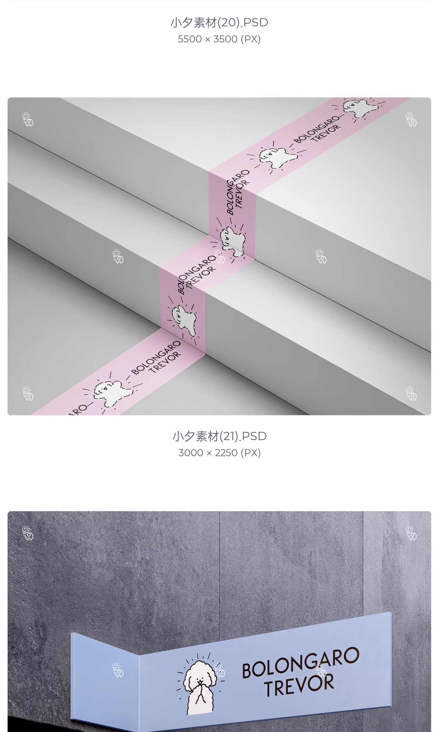 图片[13]-品牌宠物用品店猫粮狗粮vi提案包装设计智能贴图文创样机PSD素材-大怪兽分享
