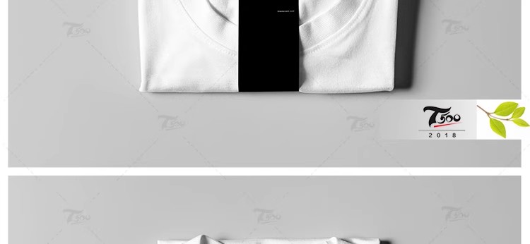 图片[34]-T恤工作服装文化衫衣服布纹LOGO效果VI展示PSD智能贴图样机PS模板-大怪兽分享