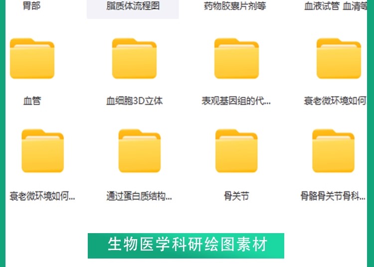 图片[10]-【科研绘图】ppt素材ai模板生物医学可编辑插图细胞流程图通路图-大怪兽分享