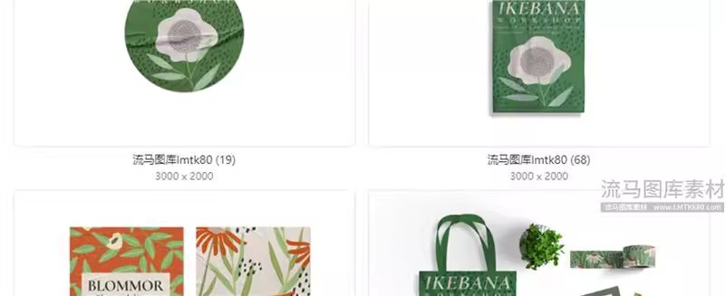 图片[13]-企业公司毕设文创VI包装盒手提袋海报样机贴图PSD设计素材模板-大怪兽分享