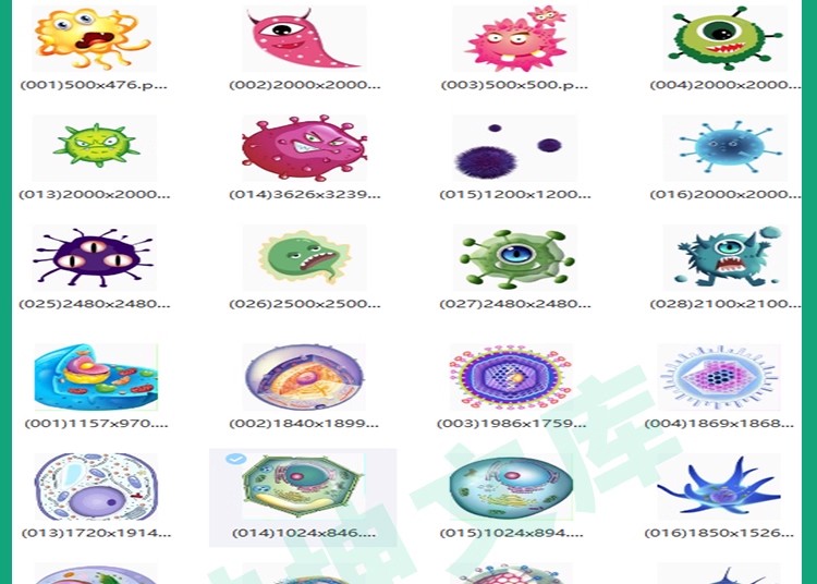 图片[11]-【科研绘图】ppt素材ai模板生物医学可编辑插图细胞流程图通路图-大怪兽分享