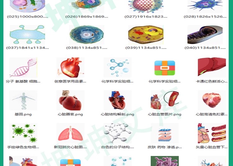 图片[12]-【科研绘图】ppt素材ai模板生物医学可编辑插图细胞流程图通路图-大怪兽分享