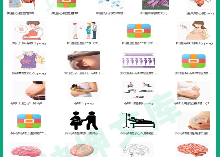 图片[13]-【科研绘图】ppt素材ai模板生物医学可编辑插图细胞流程图通路图-大怪兽分享