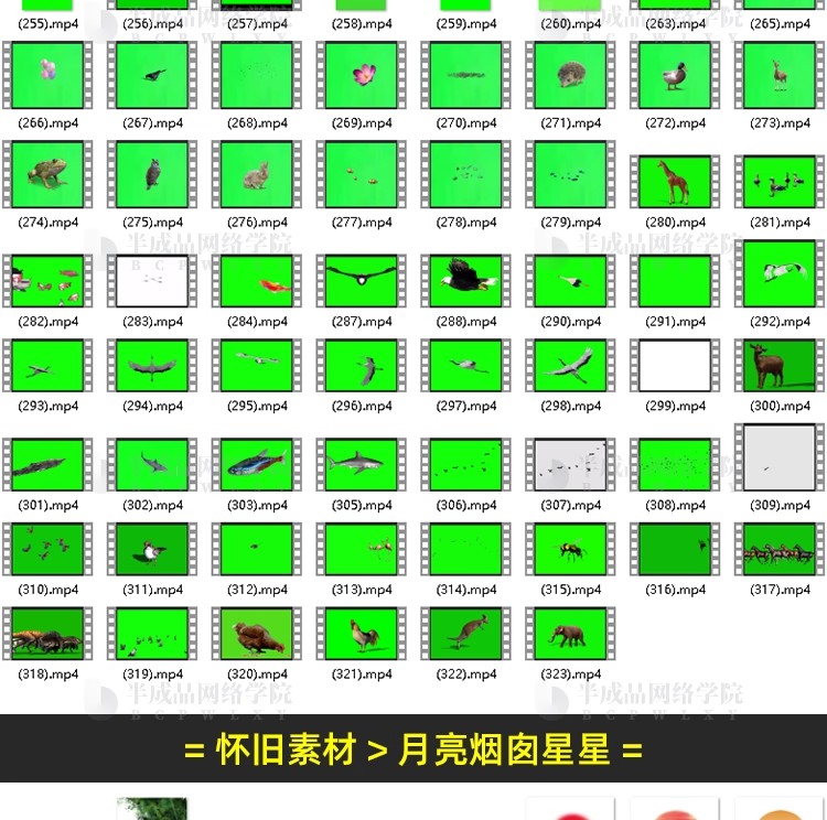 图片[18]-童年怀旧动画制作乡村生活夜景色文案音效抖音短视频动态绿幕素材-大怪兽分享