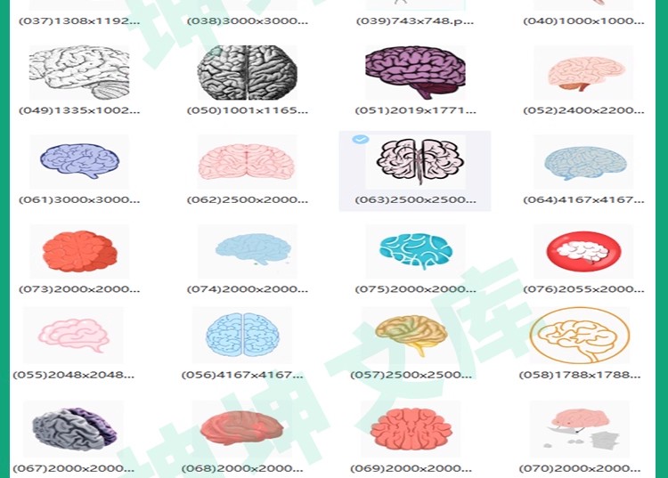 图片[14]-【科研绘图】ppt素材ai模板生物医学可编辑插图细胞流程图通路图-大怪兽分享