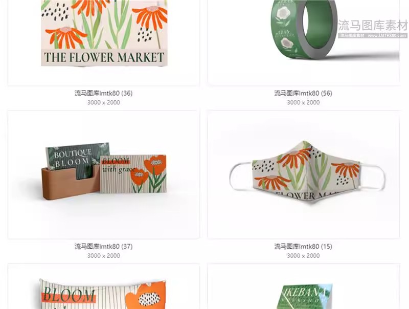 图片[18]-企业公司毕设文创VI包装盒手提袋海报样机贴图PSD设计素材模板-大怪兽分享