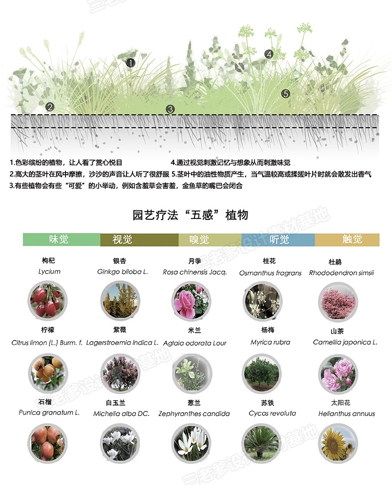 图片[19]-全套商业广场公园设计方案鸟瞰图分析图效果展板PSD源文件SU模型-大怪兽分享