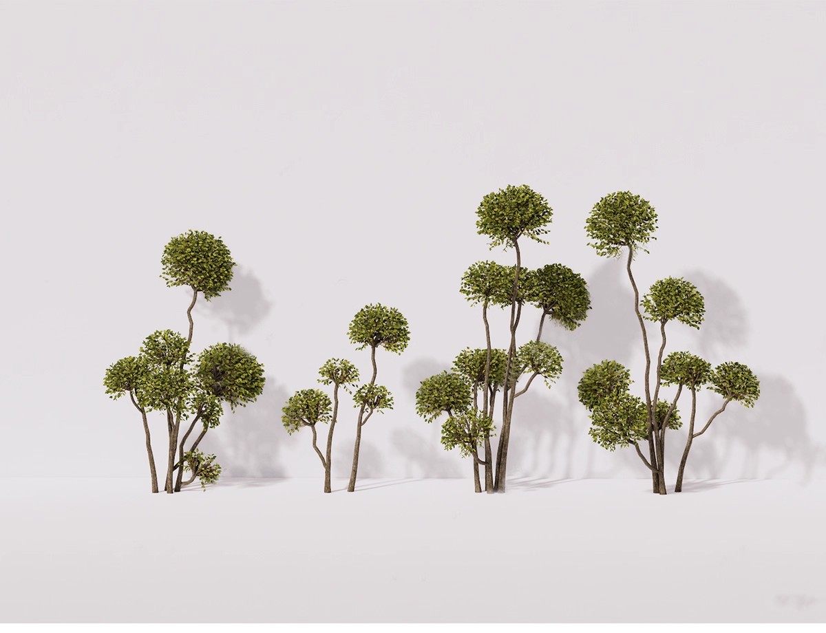 图片[20]-棒棒糖多头造型植物树木组合修剪女贞灌木球形绿篱庭院su模型素材-大怪兽分享