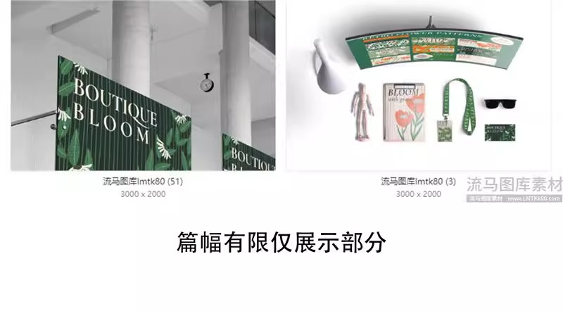 图片[20]-企业公司毕设文创VI包装盒手提袋海报样机贴图PSD设计素材模板-大怪兽分享
