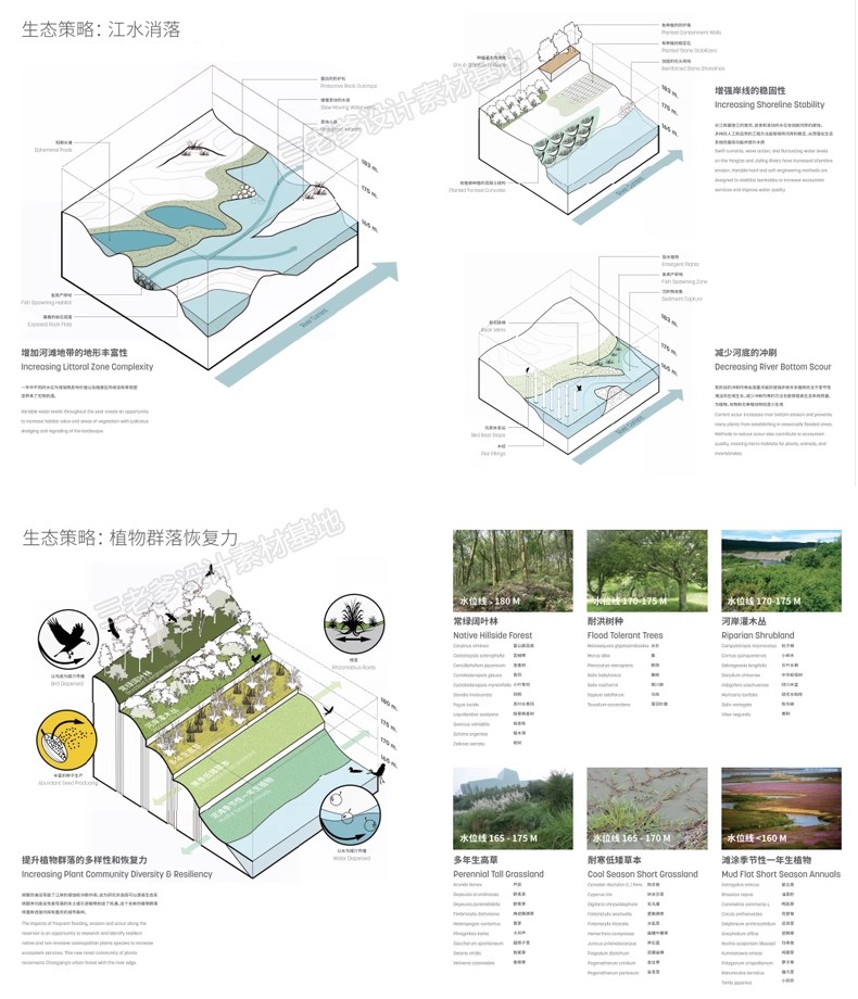 图片[21]-2025景观建筑投标城市设计规划方案文本 项目文本分析图素材图集-大怪兽分享