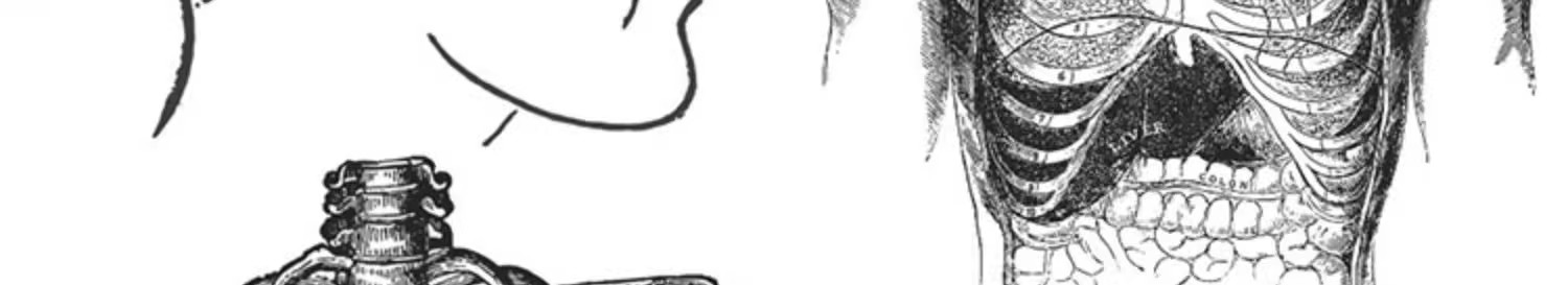 图片[24]-素描手绘人体各部位肌肉器官骨骼组织机构线稿插图AI矢量设计素材-大怪兽分享