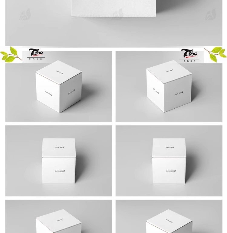 图片[18]-快递包裹瓦楞牛皮纸箱纸盒包装盒智能贴图样机展示VI设计素材模板-大怪兽分享