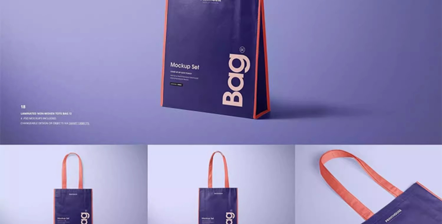 图片[22]-国外专业食品产品包装礼品盒设计纸袋礼品帆布袋PSD展示样机素材-大怪兽分享