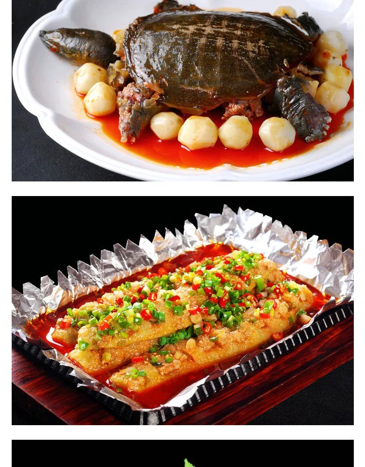 图片[10]-高清美食菜品菜谱JPG图片川菜四川菜美工设计喷绘打印素材-大怪兽分享